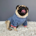 Hunde Pullover Haustier Freizeit Baumwolle Alltagskleidung
