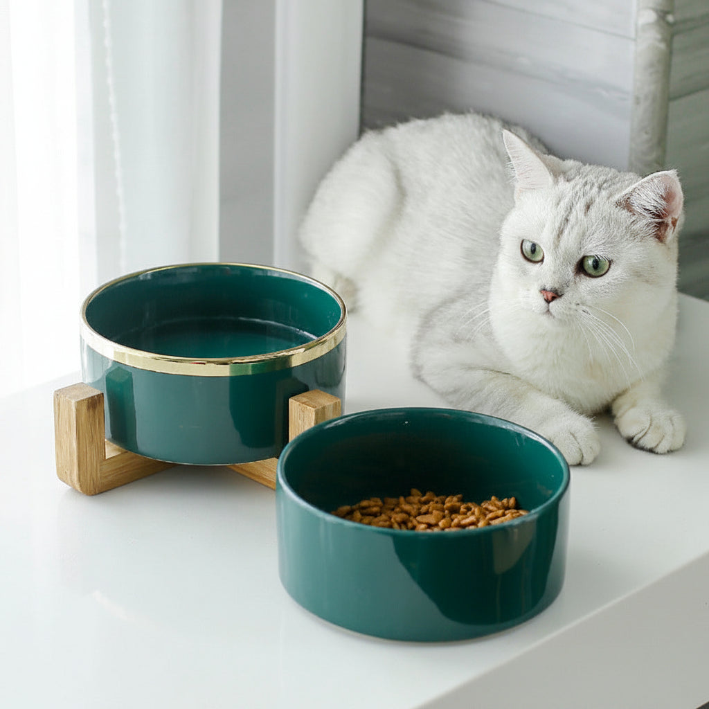 Keramik Katzenfutternapf Mit Hellem Holzständer